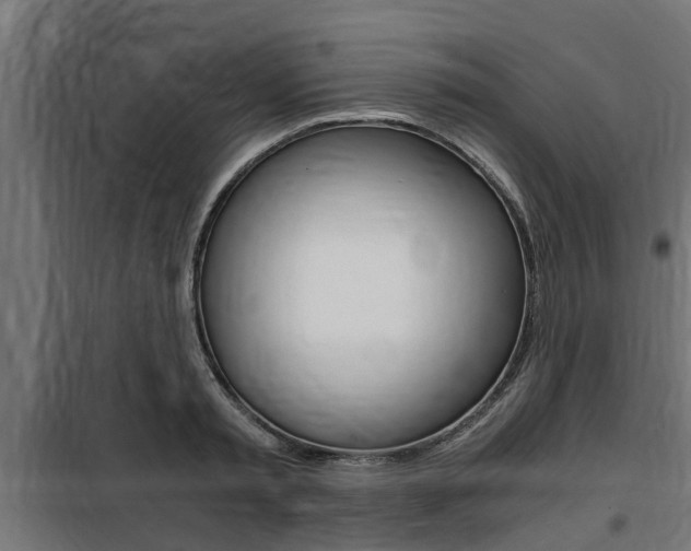 X0000100760797200806190908