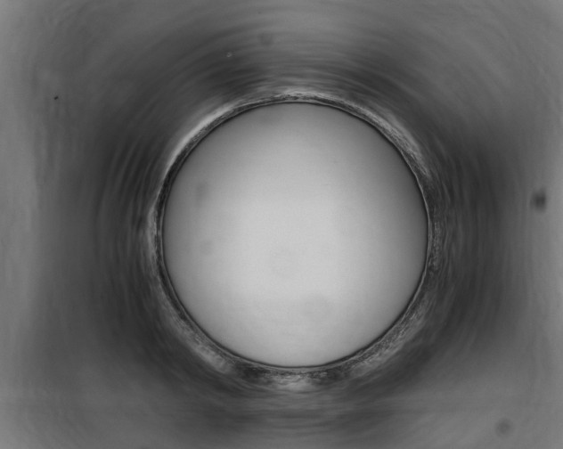 X0000100760798200806190908