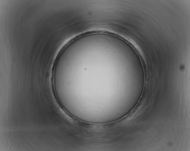 X0000100760799200806190908