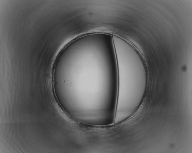 X0000100760800200806190908