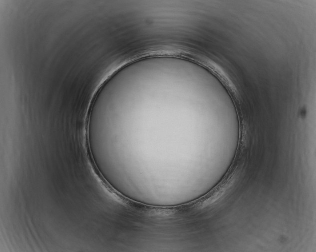 X0000100760802200806190908