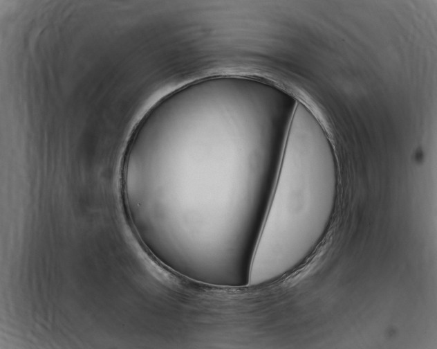 X0000100760803200806190908