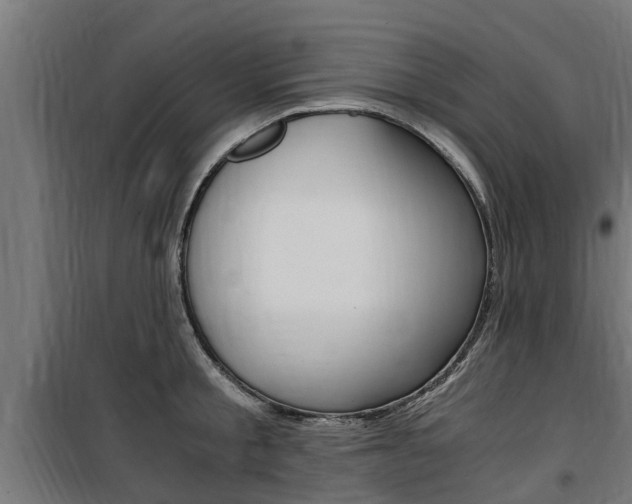 X0000100760805200806190908