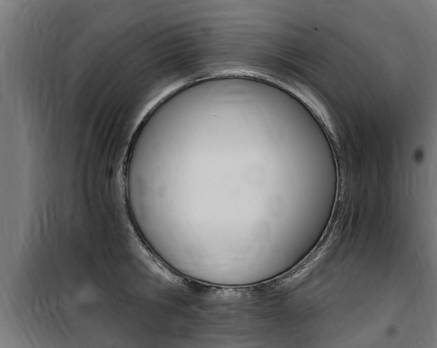 X0000100760806200806190908