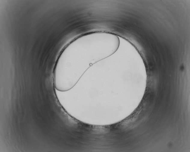 X0000100760807200806190908