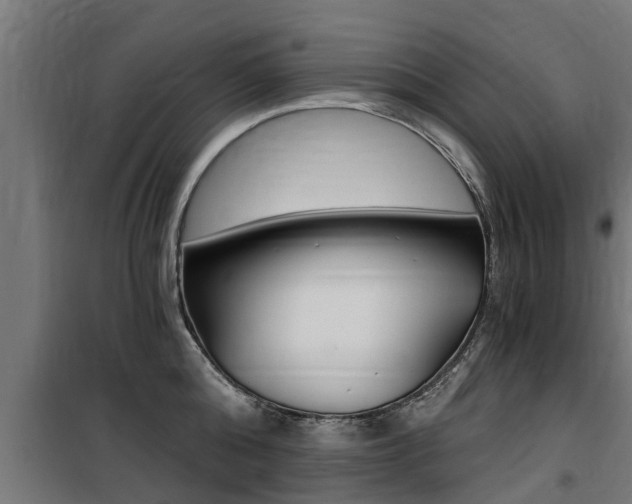 X0000100760808200806190907