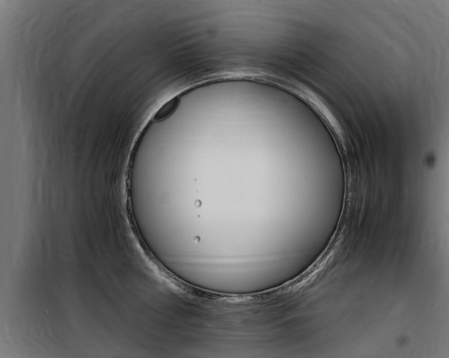 X0000100760810200806190907