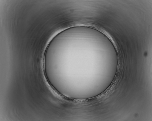 X0000100760811200806190907