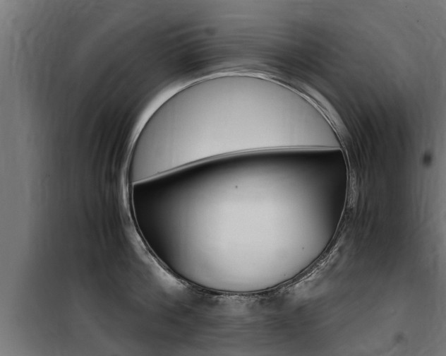 X0000100760812200806190907