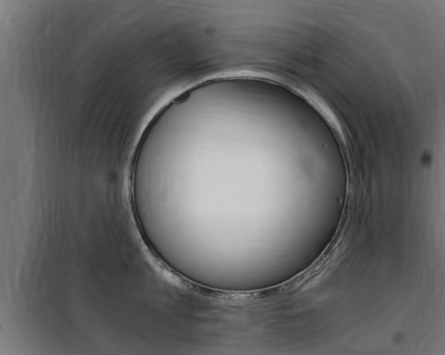 X0000100760813200806190907