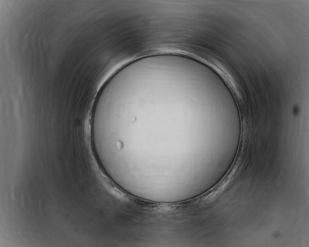 X0000100760814200806190907