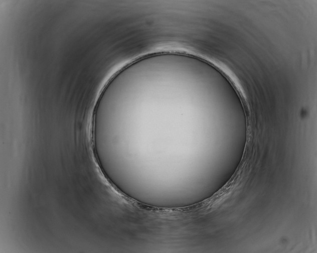 X0000100760815200806190907