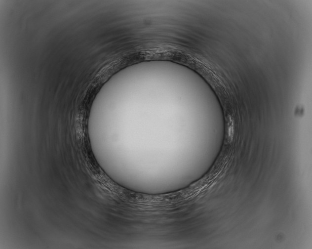 X0000100760819200806190907