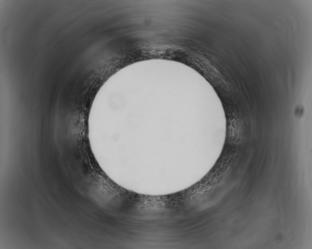 X0000100760820200806190907