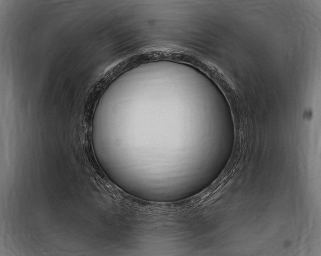 X0000100760822200806190907