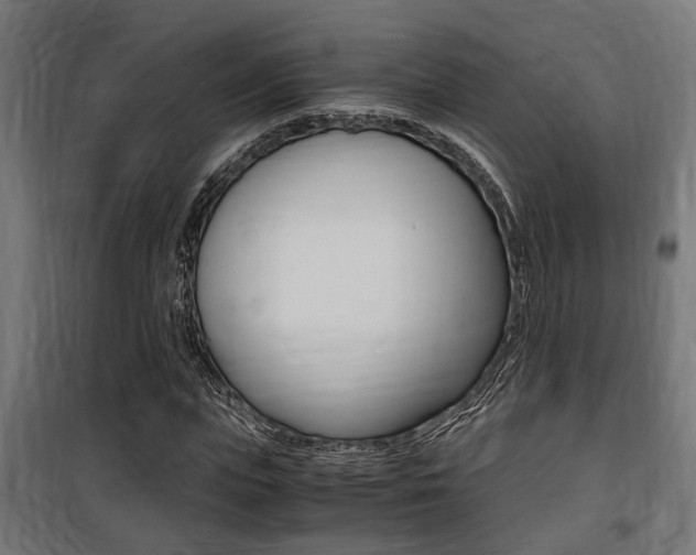 X0000100760823200806190907