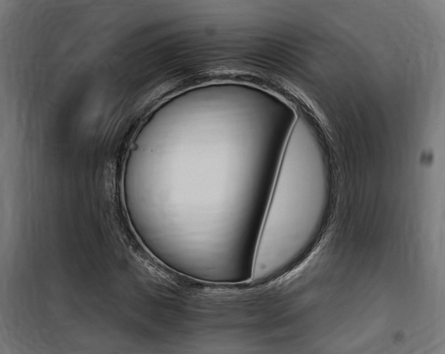 X0000100760825200806190907