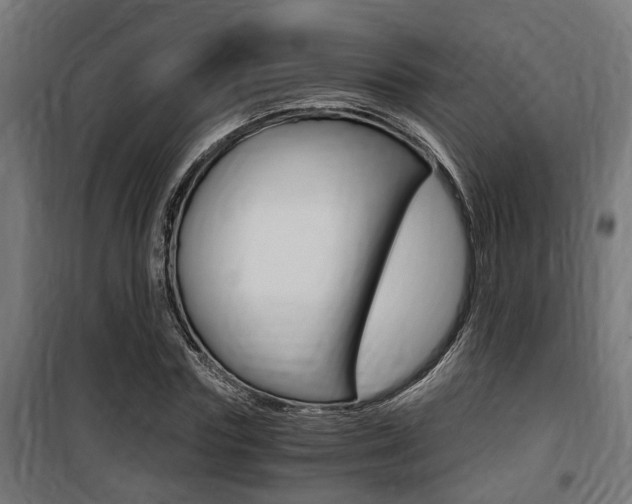 X0000100760827200806190907