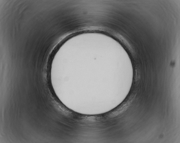 X0000100760828200806190907