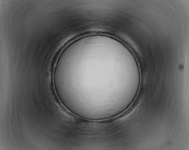 X0000100760829200806190907