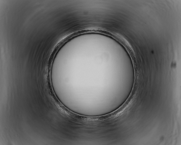 X0000100760831200806190907