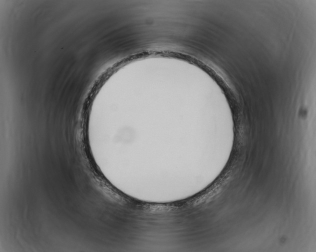 X0000100760832200806190907