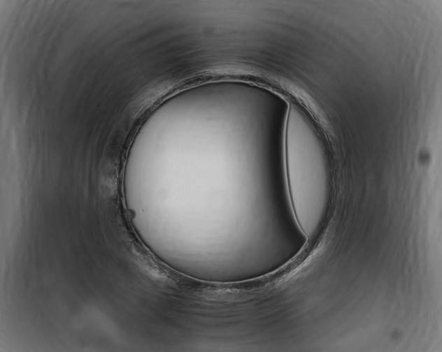 X0000100760833200806190907