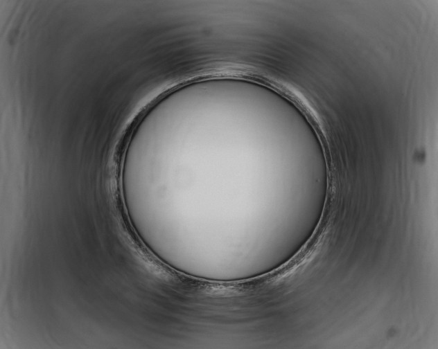 X0000100760835200806190907