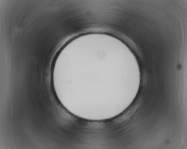 X0000100760836200806190907