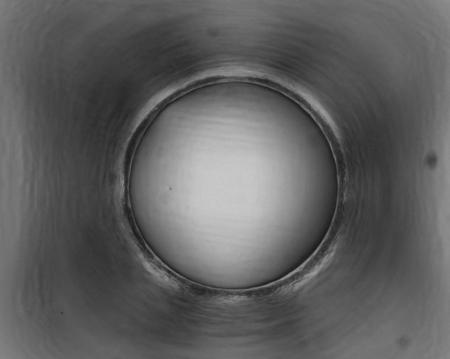 X0000100760837200806190907