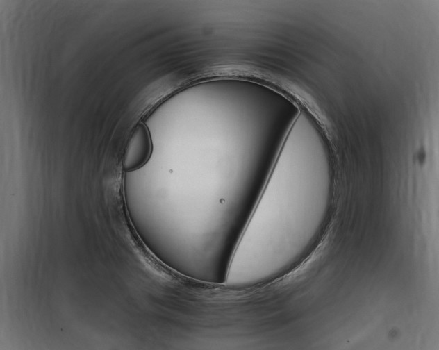 X0000100760841200806190907