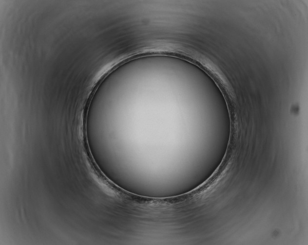 X0000100760842200806190907