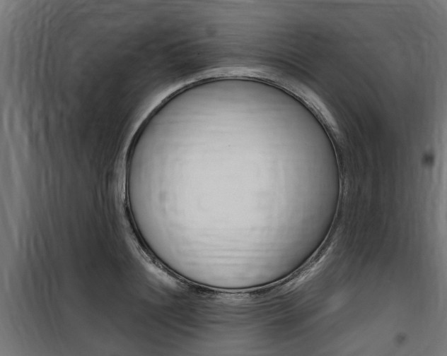 X0000100760844200806190907