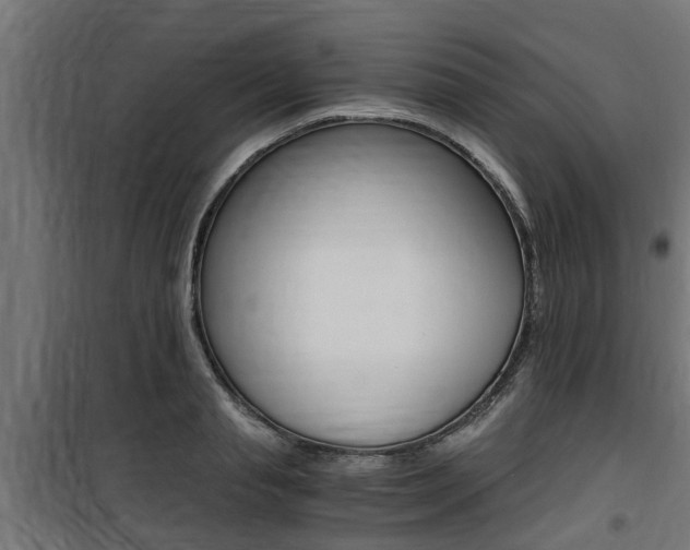 X0000100760845200806190907