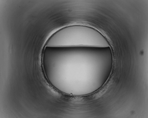 X0000100760846200806190907