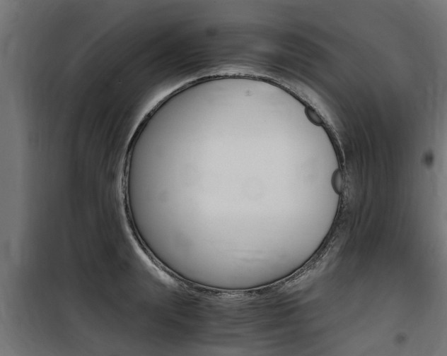 X0000100760847200806190907