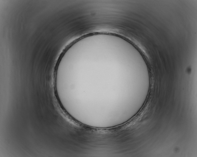 X0000100760848200806190907