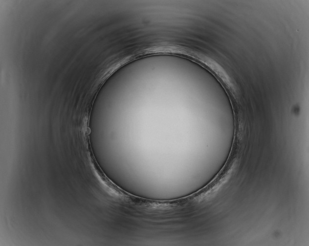 X0000100760849200806190907