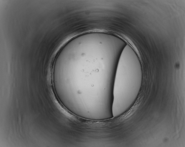 X0000100760851200806190907