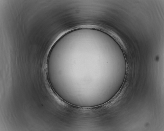 X0000100760852200806190907