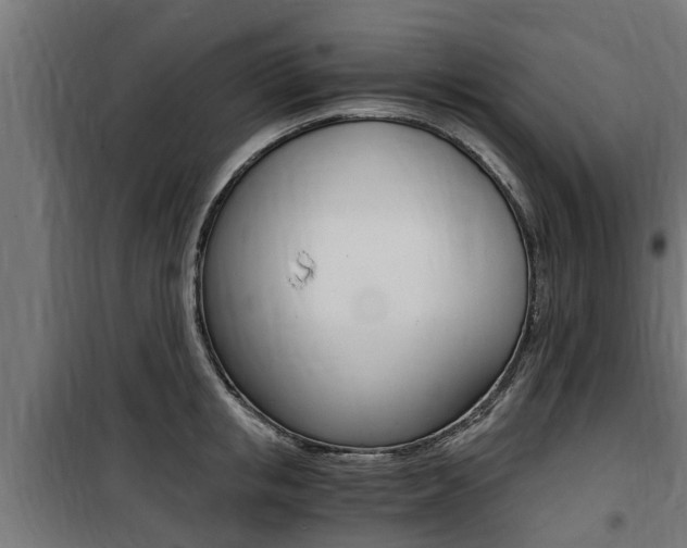 X0000100760853200806190907