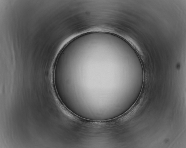 X0000100760854200806190907