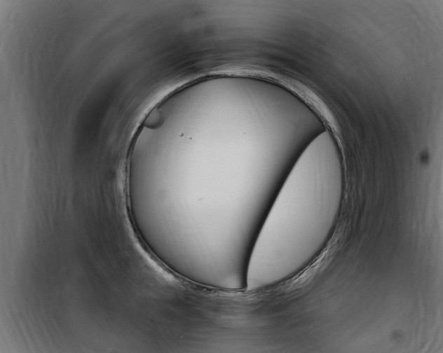 X0000100760855200806190907