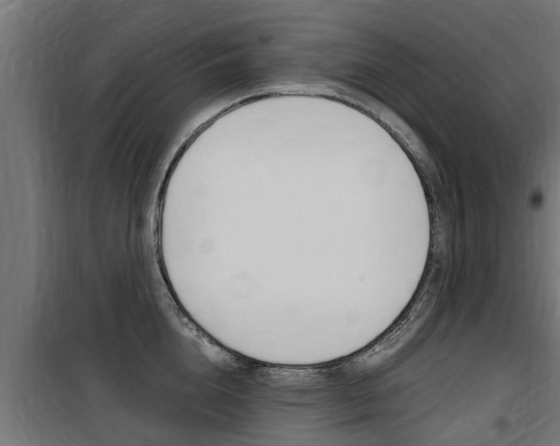 X0000100760856200806190907