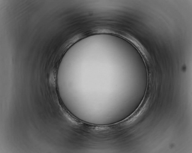 X0000100760857200806190907