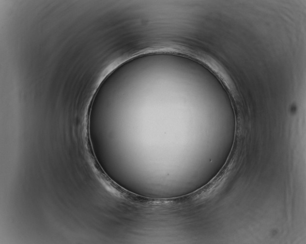 X0000100760858200806190907