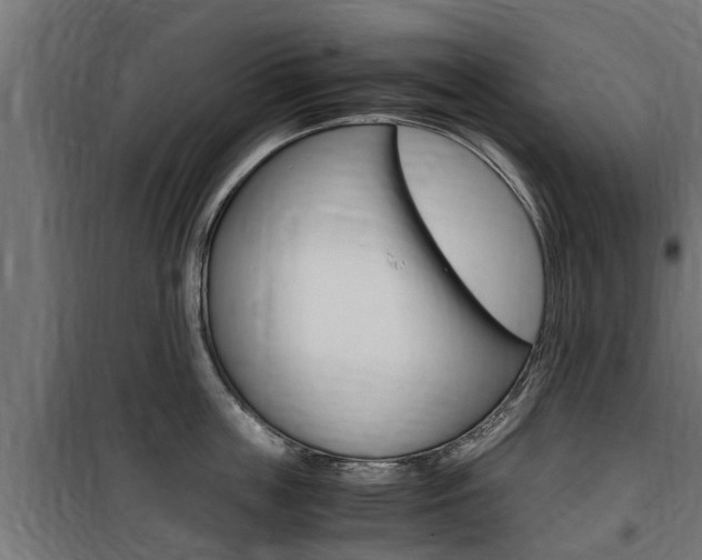 X0000100760859200806190907