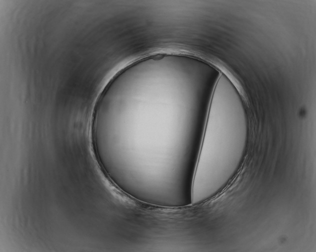 X0000100760861200806190907