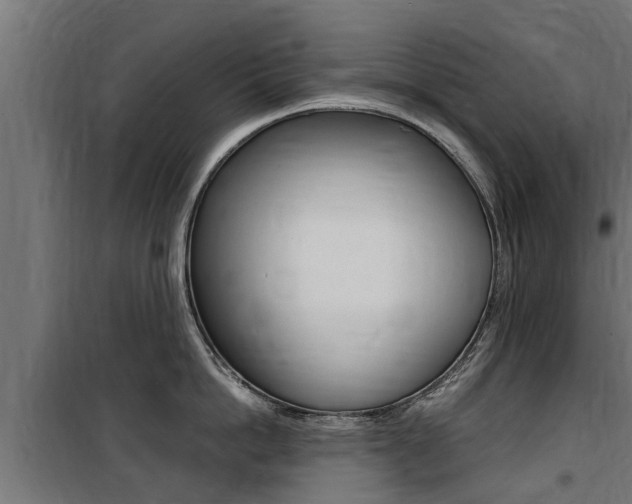 X0000100760862200806190907