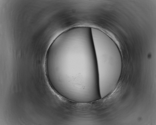 X0000100760863200806190907